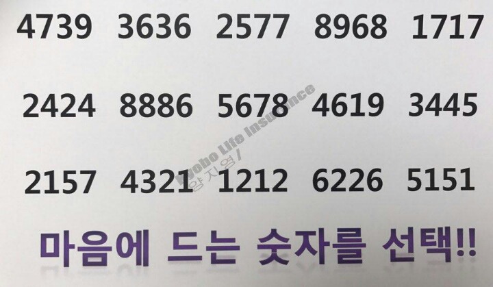 쵸이스 이미지