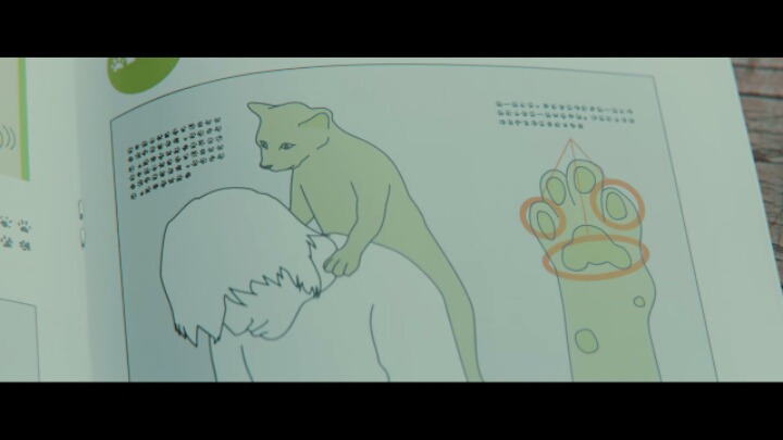할머니를 기쁘게 해주는 고양이들 2 | 인스티즈
