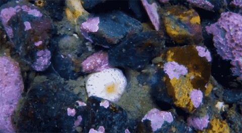 해삼의 식사시간 | 인스티즈