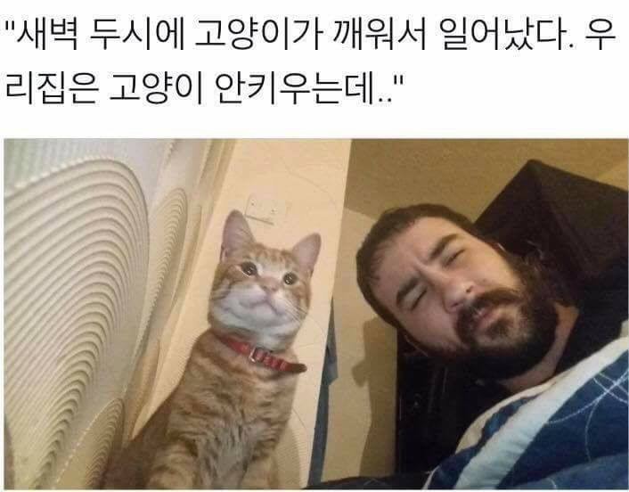깨움 이미지