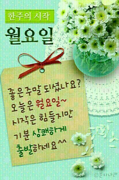 하얀코끼리 이미지