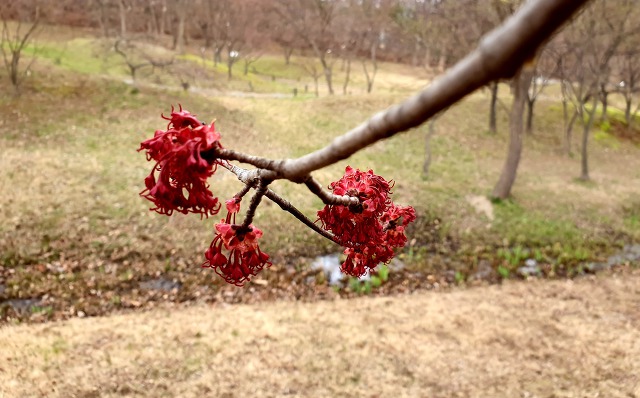 99D261335C9F16D41E7774