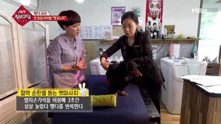 강아지 아로마테라피.jpg | 인스티즈