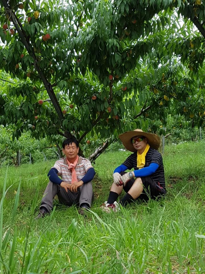 화림농원 이미지