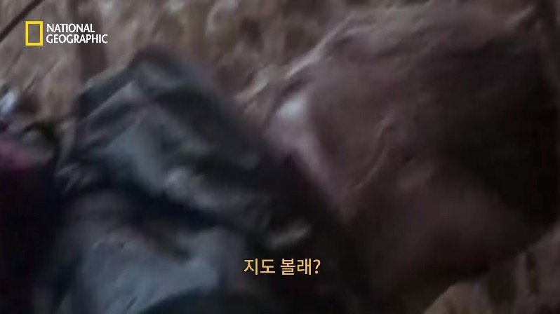 1999년, 새로운 장르의 공포영화가 인터넷을 통해 홍보되다 | 인스티즈