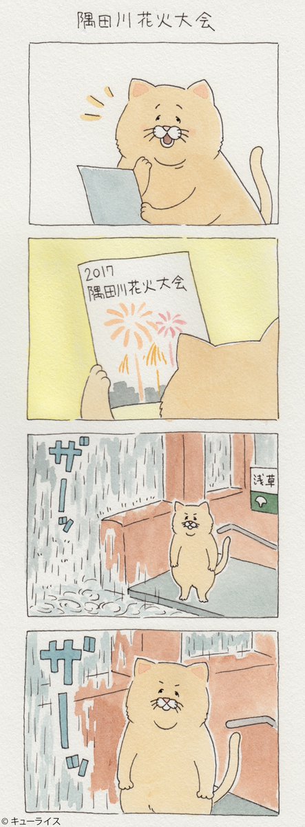 유감스러운 고양이 -3- | 인스티즈