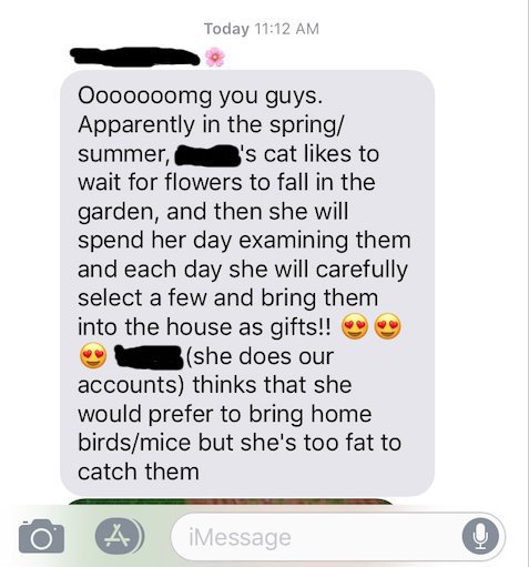 쏘 스윗한 고양이 | 인스티즈