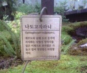 식물 이름이 심상치않다 | 인스티즈