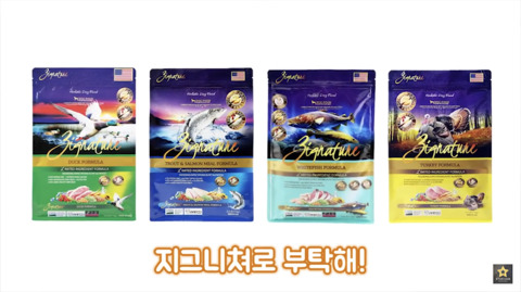 밥먹을때 강아지가 쳐다보는 이유 | 인스티즈