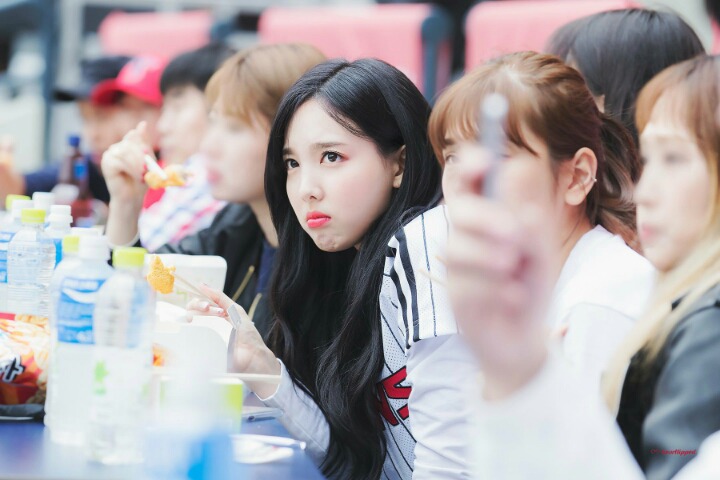 트와이스 팬들의 최대 난제.......jpgif | 인스티즈