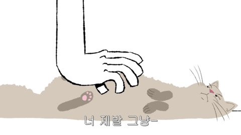[동물] 고양이의 속마음 | 인스티즈
