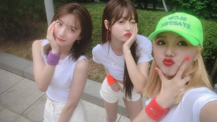 비니댄스 이미지