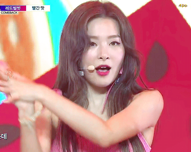 레드벨벳 슬기 | 인스티즈
