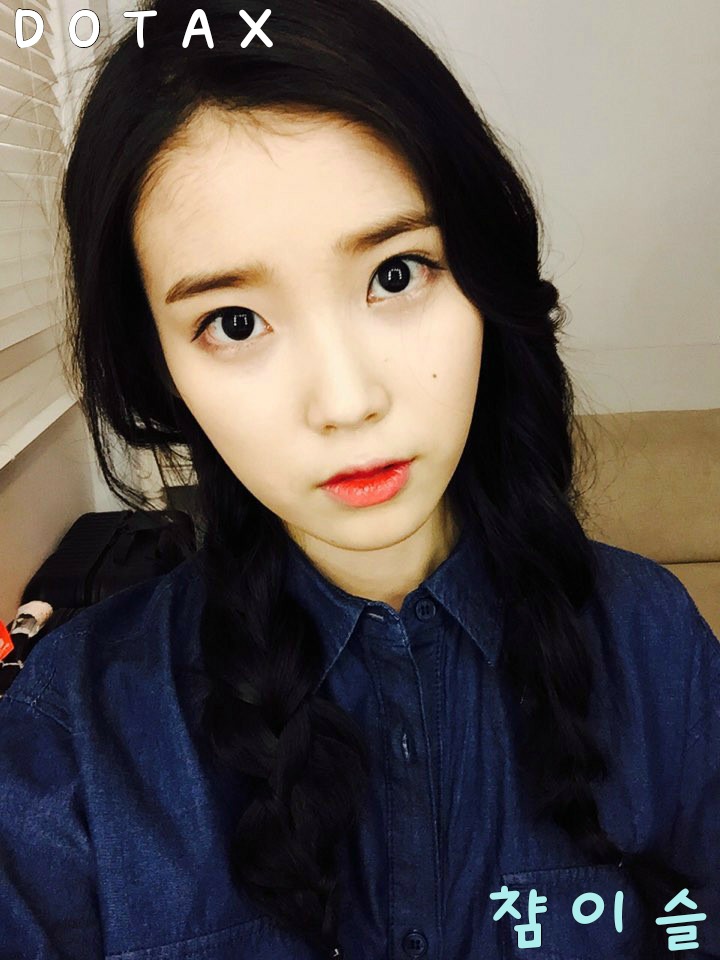 구멍이 있으면 일단 들어가는 냥이 | 인스티즈