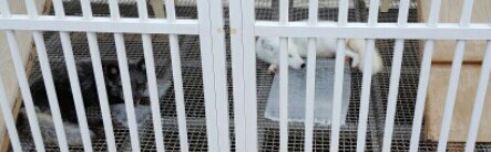 제정신이 아닌듯한 춘천의 한 관광지.jpg | 인스티즈