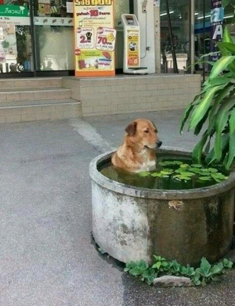 인 이미지