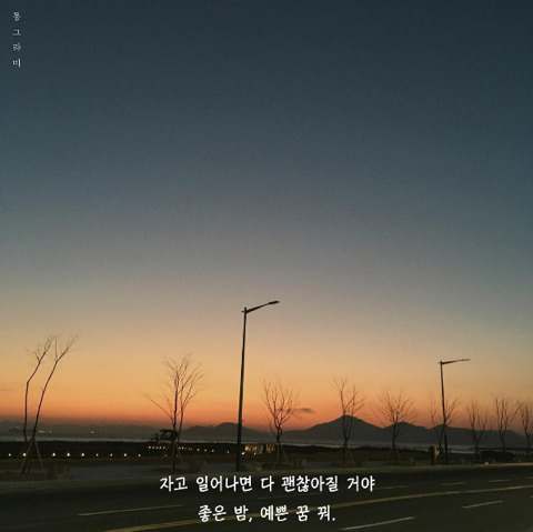달콩 이미지