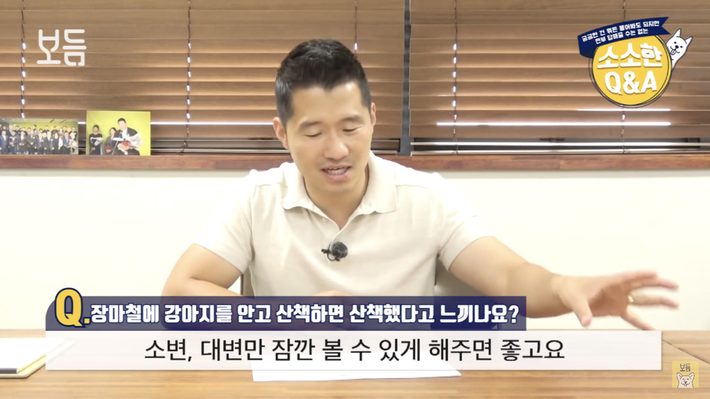 장마철에 강아지를 안고 산책하면 산책했다고 느끼나요?.jpg | 인스티즈