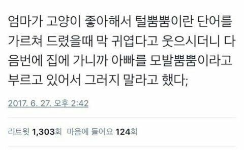 웃긴짤 모음집 | 인스티즈