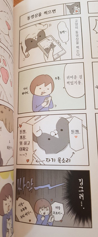 기적의 언어학자 | 인스티즈