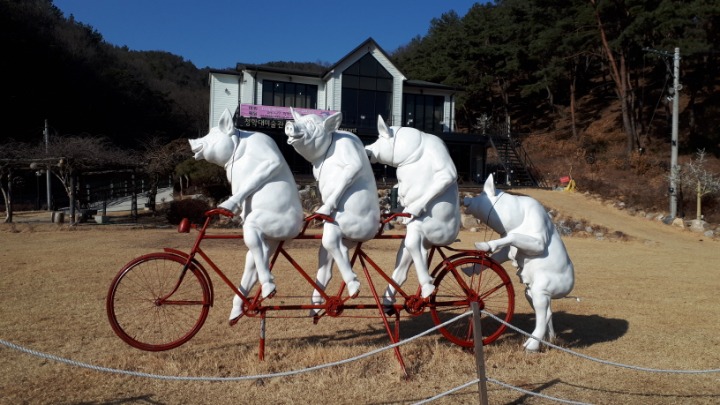 청학대갤러리 이미지